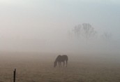 Spring Morning in March